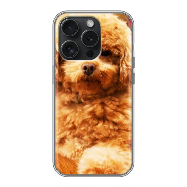 Чехол с принтом «Щенок Бишон» для Huawei Honor Play 60 Plus