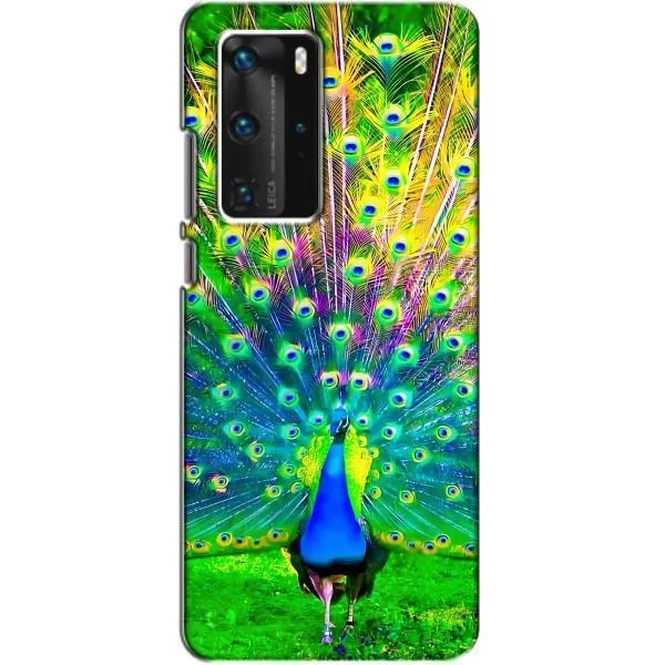 Чехол с принтом «Яркий Павлин» для Huawei P40 Pro