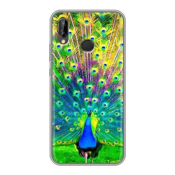 Чехол с принтом «Яркий Павлин» для Huawei Y7 2019