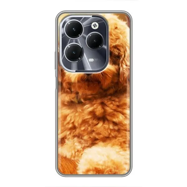 Чехол с принтом «Щенок Бишон» для Infinix Hot 40 Чехол с принтом «Щенок Бишон» для Infinix Hot 40