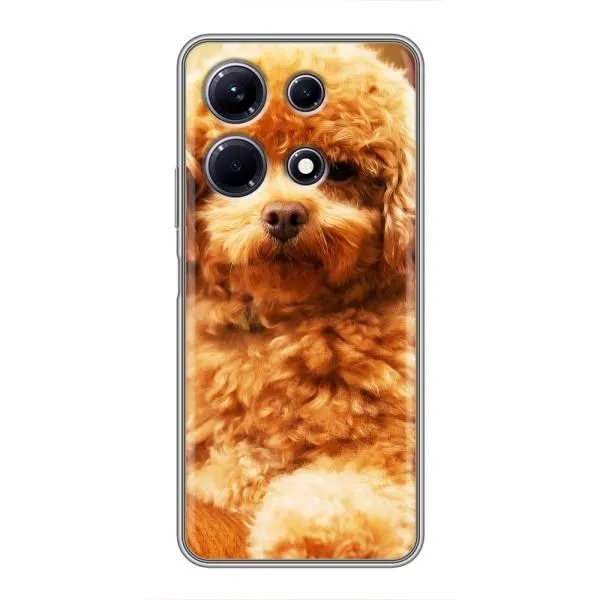 Чохол з принтом «Цуценя Бішон» для Infinix Note 30 Чохол з принтом «Цуценя Бішон» для Infinix Note 30