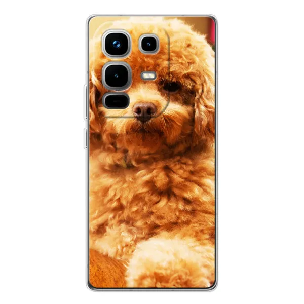Чохол з принтом «Цуценя Бішон» для Infinix Note 50