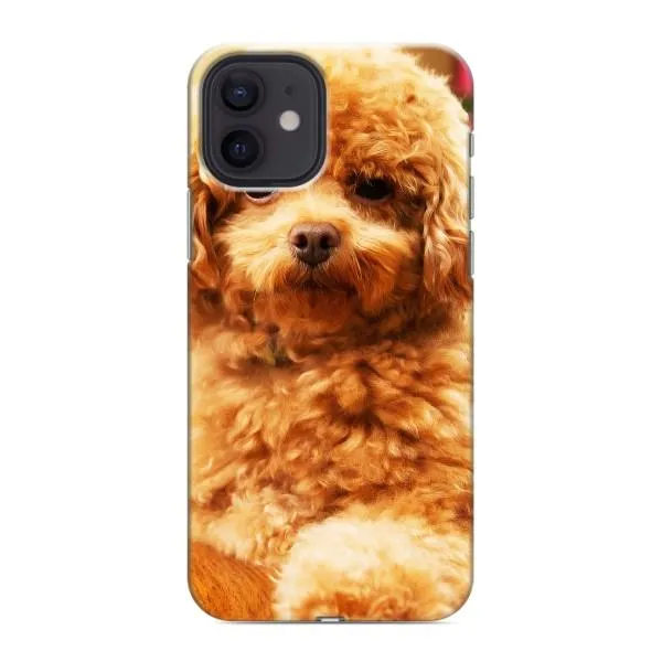 Чехол с принтом «Щенок Бишон» для iPhone 12 Чехол с принтом «Щенок Бишон» для iPhone 12