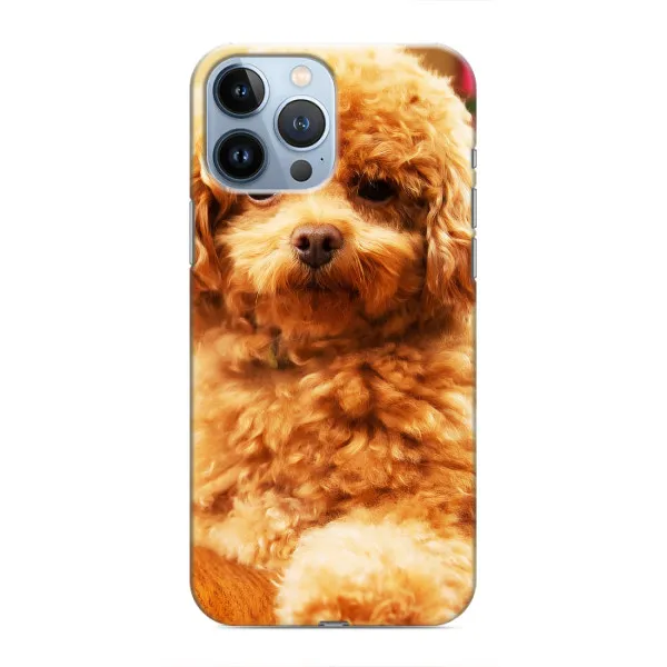 Чехол с принтом «Щенок Бишон» для iPhone 13 Pro