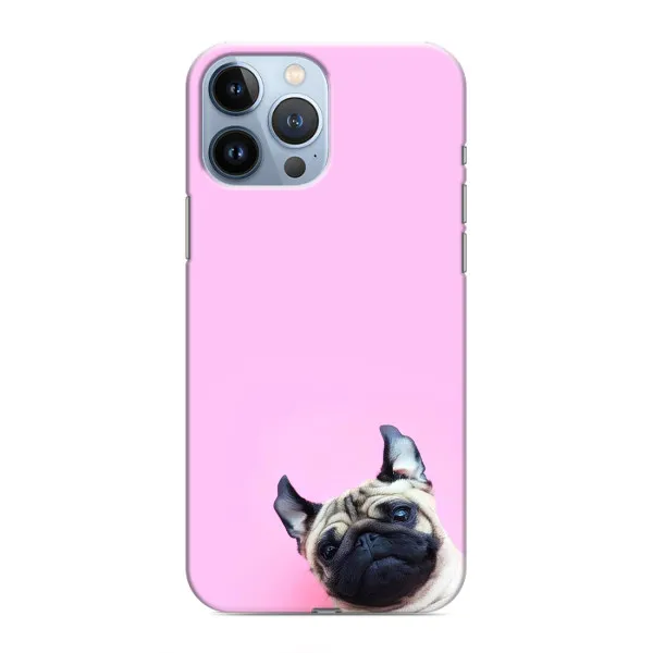 Чехол с принтом «Смешная собака» для iPhone 13 Pro