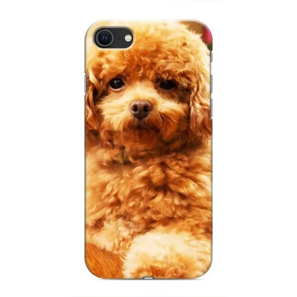 Чехол с принтом «Щенок Бишон» для iPhone SE (2020)