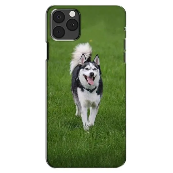 Чехол с принтом «Радостный Хаски» для iPhone 11 Pro Max