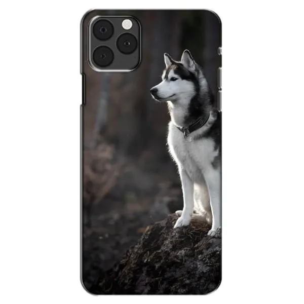 Чехол с принтом «Верный пес» для iPhone 11 Pro Max
