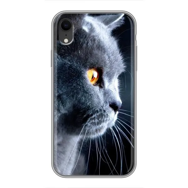 Чехол с принтом «Серый Кот» для iPhone Xr