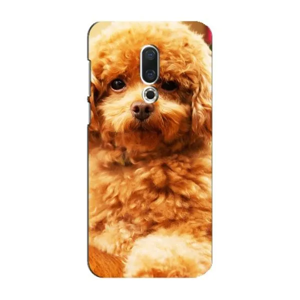 Чехол с принтом «Щенок Бишон» для Meizu 16 Plus Чехол с принтом «Щенок Бишон» для Meizu 16 Plus