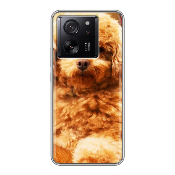Чехол с принтом «Щенок Бишон» для Meizu 22