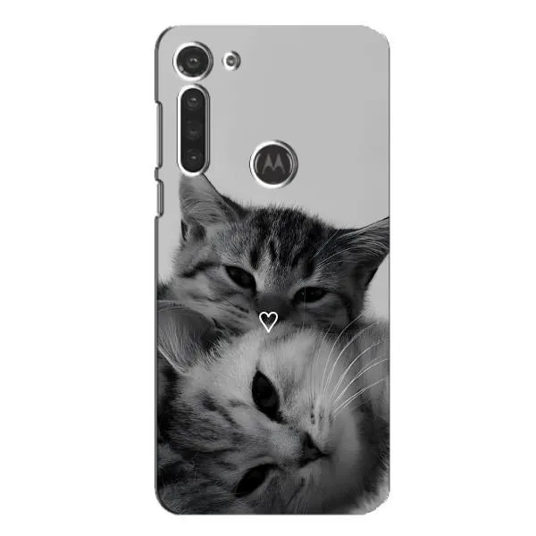 Чехол с принтом «Пара котов» для Motorola MOTO G8