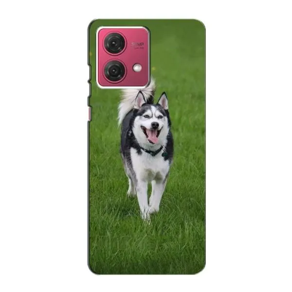 Чохол з принтом «Радісний Хаскі» для Motorola MOTO G84 Чохол з принтом «Радісний Хаскі» для Motorola MOTO G84