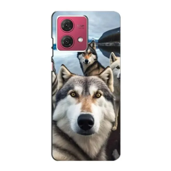 Чохол з принтом «Селфі Хаскі» для Motorola MOTO G84 Чохол з принтом «Селфі Хаскі» для Motorola MOTO G84