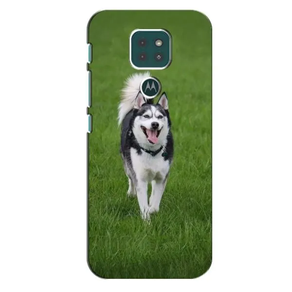 Чехол с принтом «Радостный Хаски» для Motorola MOTO G9 Play Чехол с принтом «Радостный Хаски» для Motorola MOTO G9 Play