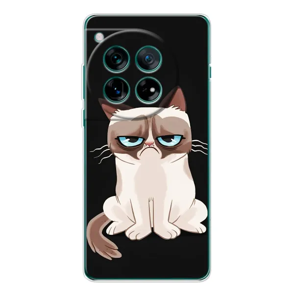 Чехол с принтом «Грустный кот» для OnePlus 12