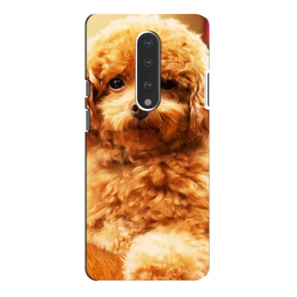 Чехол с принтом «Щенок Бишон» для OnePlus 7 Pro Чехол с принтом «Щенок Бишон» для OnePlus 7 Pro