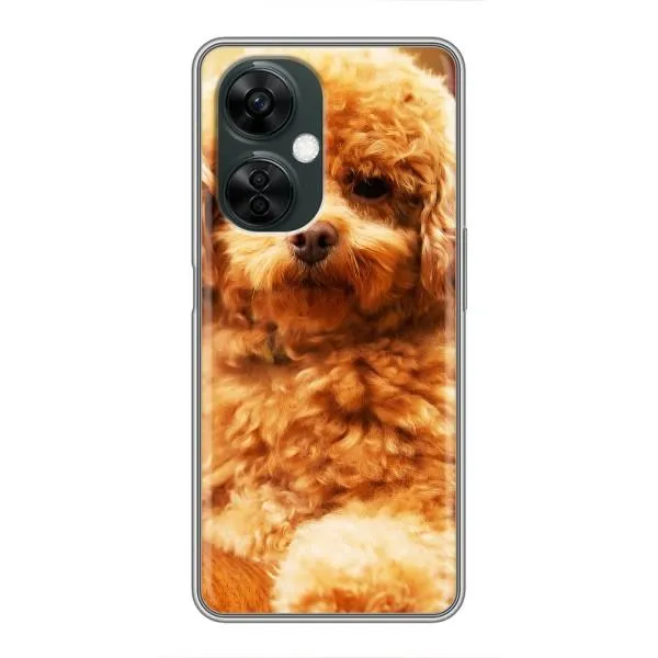 Чехол с принтом «Щенок Бишон» для OnePlus Nord CE 3 Lite Чехол с принтом «Щенок Бишон» для OnePlus Nord CE 3 Lite