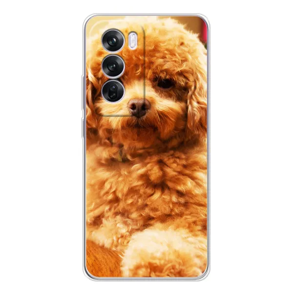 Чехол с принтом «Щенок Бишон» для OPPO A5