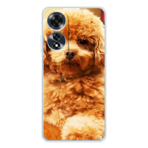 Чехол с принтом «Щенок Бишон» для OPPO A60 5G Чехол с принтом «Щенок Бишон» для OPPO A60 5G