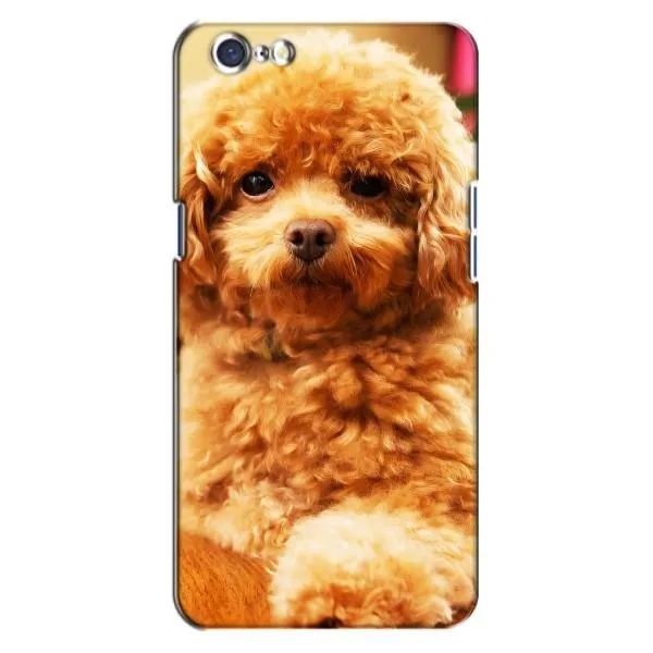 Чохол з принтом «Цуценя Бішон» для OPPO A71 Чохол з принтом «Цуценя Бішон» для OPPO A71