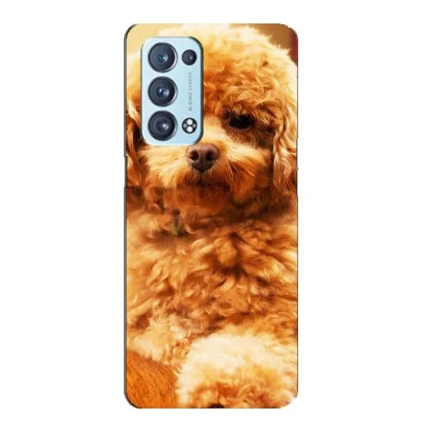 Чехол с принтом «Щенок Бишон» для OPPO Reno6 Pro Plus 5G Чехол с принтом «Щенок Бишон» для OPPO Reno6 Pro Plus 5G