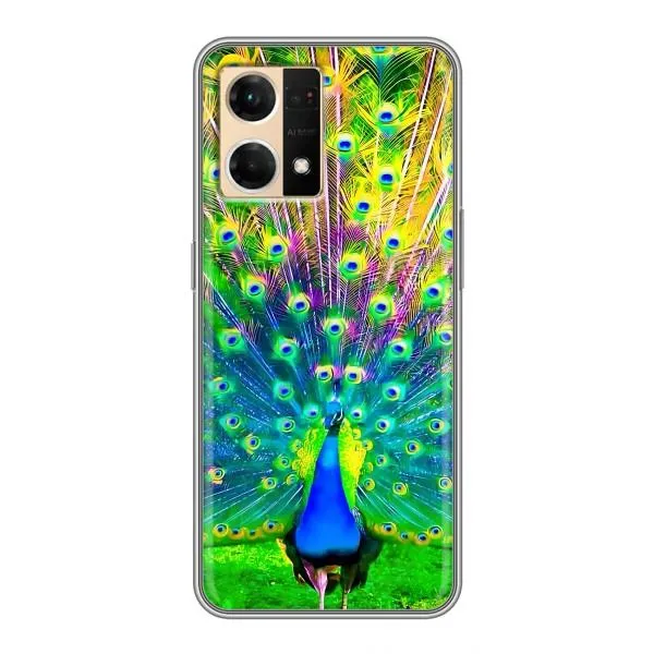 Чехол с принтом «Яркий Павлин» для OPPO Reno7 Pro 5G Чехол с принтом «Яркий Павлин» для OPPO Reno7 Pro 5G