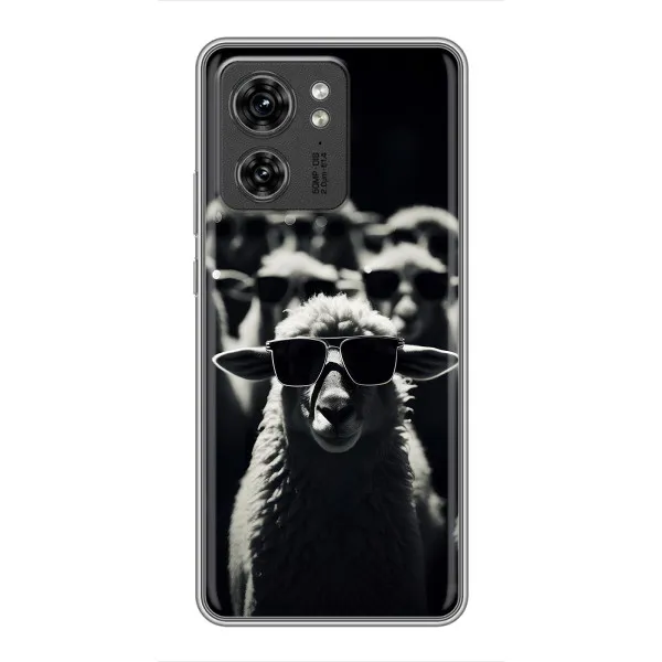 Чехол с принтом «Овечка в очках» для OPPO Reno 8 Pro 5G Чехол с принтом «Овечка в очках» для OPPO Reno 8 Pro 5G