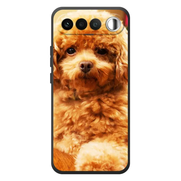Чехол с принтом «Щенок Бишон» для RealMe 16 5G Чехол с принтом «Щенок Бишон» для RealMe 16 5G