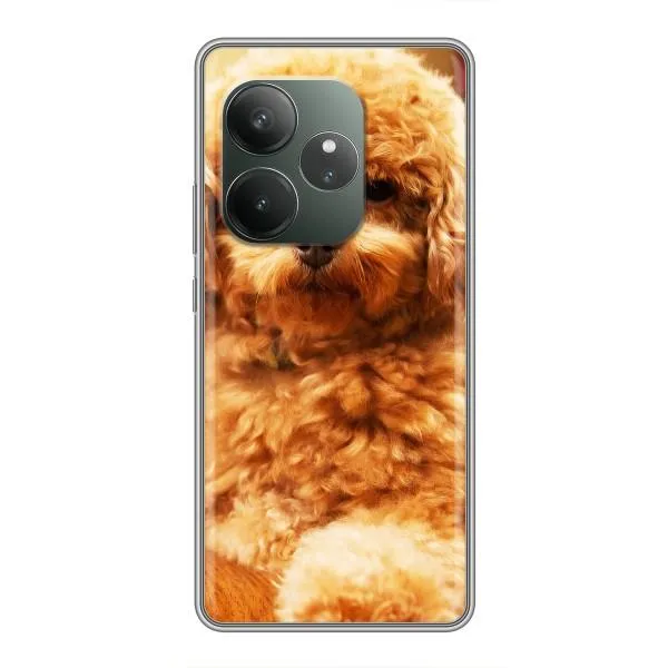 Чехол с принтом «Щенок Бишон» для Realme GT 6 Чехол с принтом «Щенок Бишон» для Realme GT 6