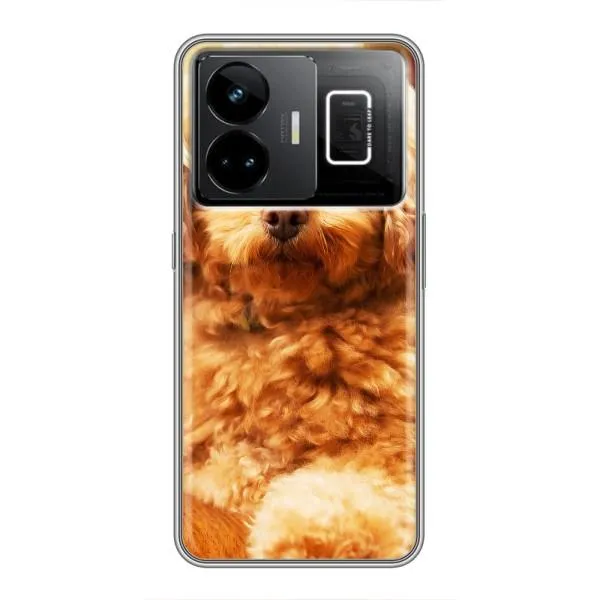 Чехол с принтом «Щенок Бишон» для Realme GT3 Чехол с принтом «Щенок Бишон» для Realme GT3