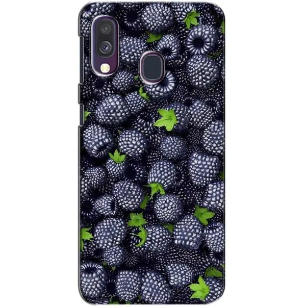 Чехол с принтом «Ежевика» для Samsung Galaxy A40 2019 (A405F) Чехол с принтом «Ежевика» для Samsung Galaxy A40 2019 (A405F)