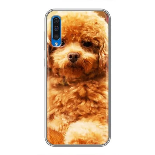 Чохол з принтом «Цуценя Бішон» для Samsung Galaxy A50 2019 (A505F)
