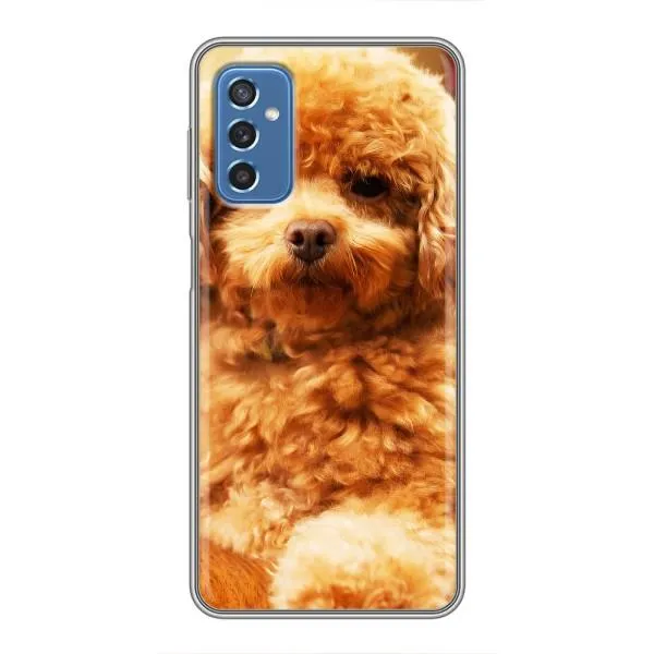 Чехол с принтом «Щенок Бишон» для Samsung Galaxy M52 Чехол с принтом «Щенок Бишон» для Samsung Galaxy M52
