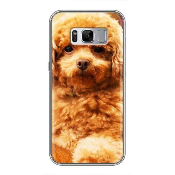 Чехол с принтом «Щенок Бишон» для Samsung Galaxy S8 Plus (G955)