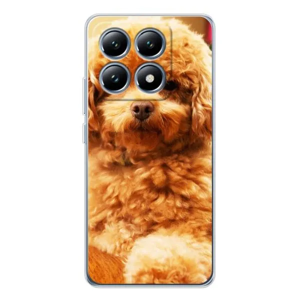 Чехол с принтом «Щенок Бишон» для Xiaomi 14T Чехол с принтом «Щенок Бишон» для Xiaomi 14T