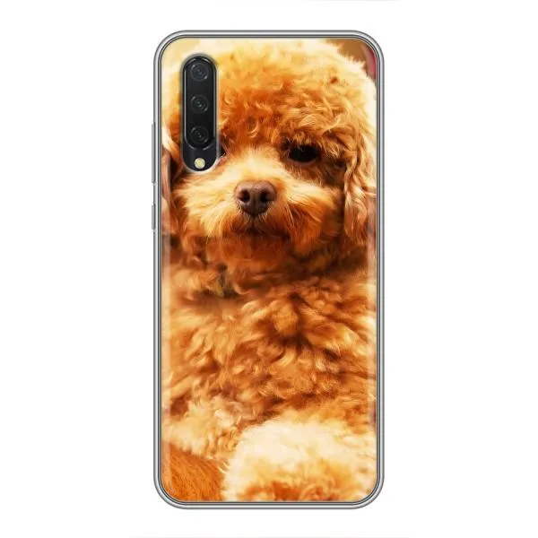 Чехол с принтом «Щенок Бишон» для Xiaomi Mi A3 Чехол с принтом «Щенок Бишон» для Xiaomi Mi A3