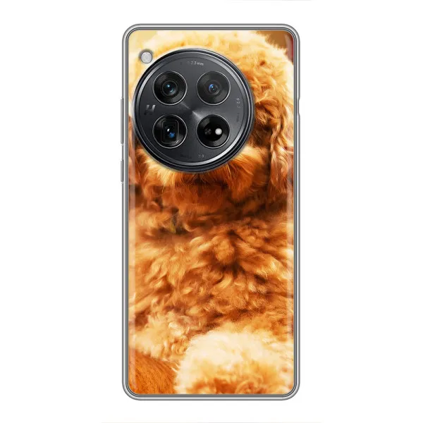 Чехол с принтом «Щенок Бишон» для Xiaomi Redmi K80 Pro