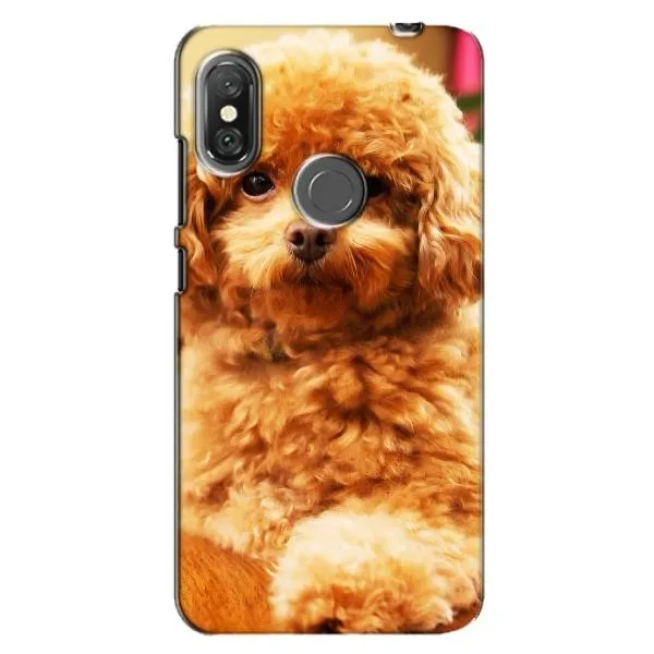 Чехол с принтом «Щенок Бишон» для Xiaomi Redmi Note 6 Pro