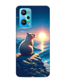 Чехол для Realme GT Neo 2 с картинкой «Закат солнца с капибарой»