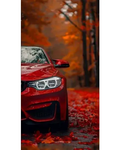 Чохол для Apple з картинкою «Осіння BMW M4» Чохол для Apple з картинкою «Осіння BMW M4»