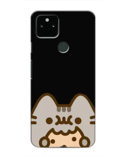 Чехол для Google Pixel 5 с картинкой «Пушин на черном»