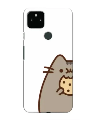 Чехол для Google Pixel 5 с картинкой «Пушин с печеньем»