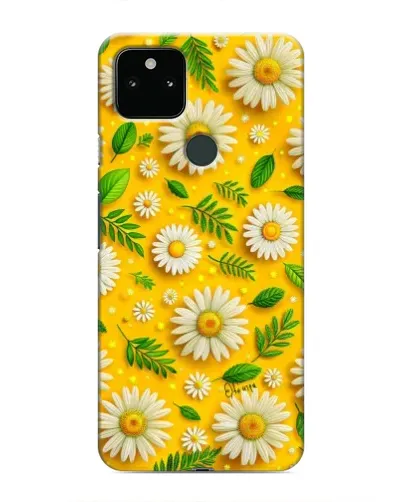 Чехол для Google Pixel 5 с картинкой «Ромашковое солнце»
