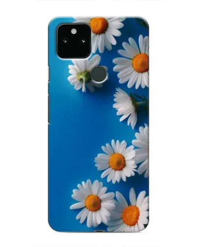 Чехол для Google Pixel 5 с картинкой «Белоснежные маргаритки»