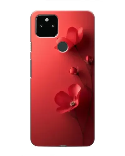 Чехол для Google Pixel 5 с картинкой «Маковые соцветия»