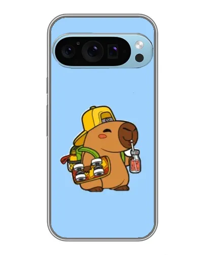 Чехол для Google Pixel 9 Pro с картинкой «Капибара на скейте»