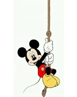 Чехол для Google с картинкой «Mickey на канате»