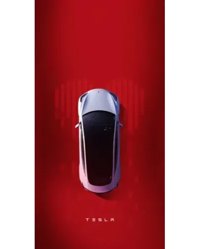 Чохол для Google з картинкою «Tesla Top View» Чохол для Google з картинкою «Tesla Top View»