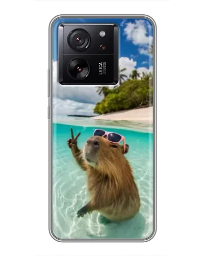 Чехол для HMD Pulse 2 Pro с картинкой «Капибара на море»
